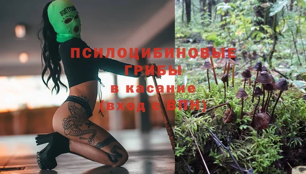 MESCALINE Кукмор