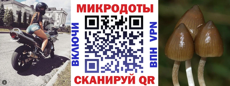 Купить закладки  Зея  Галлюциногенные грибы Psilocybe 